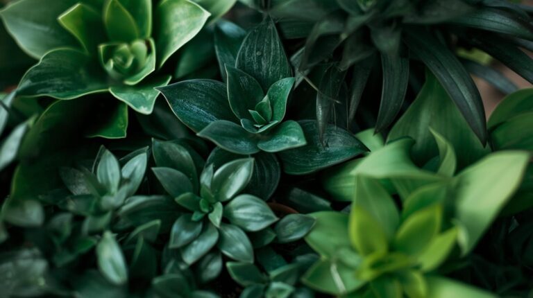 Top Eco-Friendly Indoor Planter Brands: 2025 Review