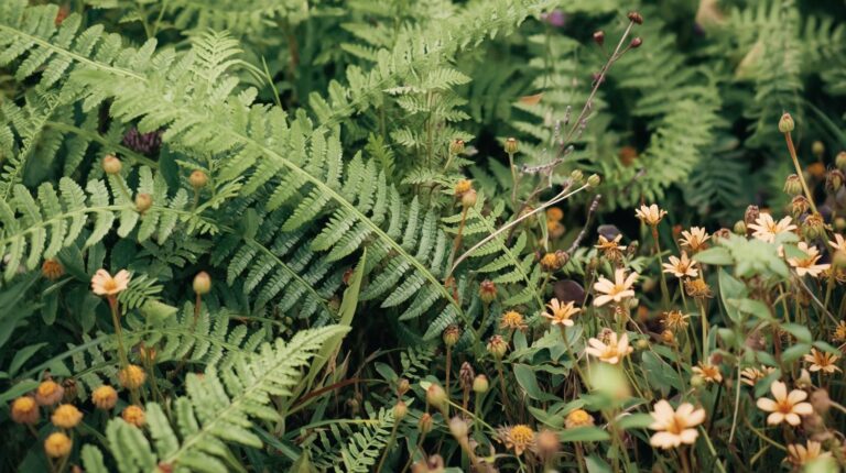 Recycled Jars as Planters